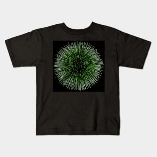 Fireworks Kids T-Shirt